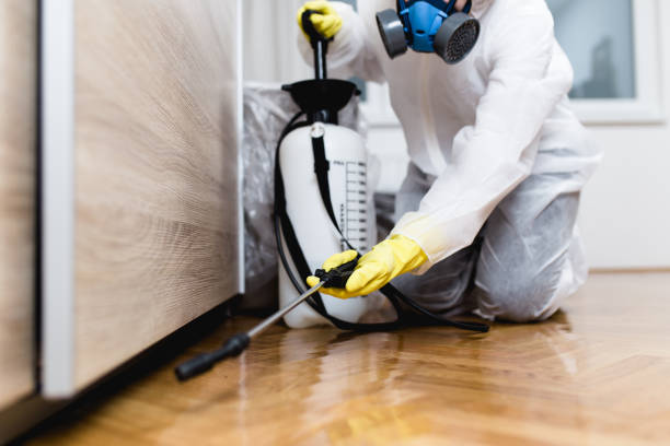 Best Residential Pest Control  in Pelham, GA