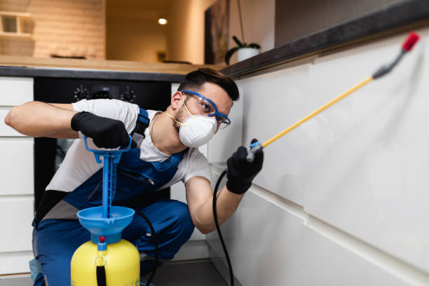 Best Affordable Pest Control Services  in Pelham, GA