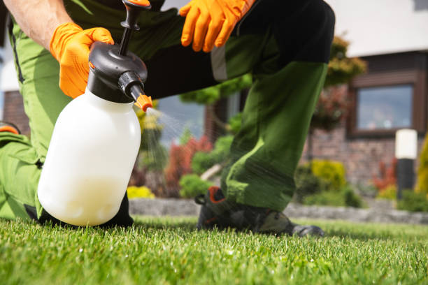 Best Flea Control Services  in Pelham, GA