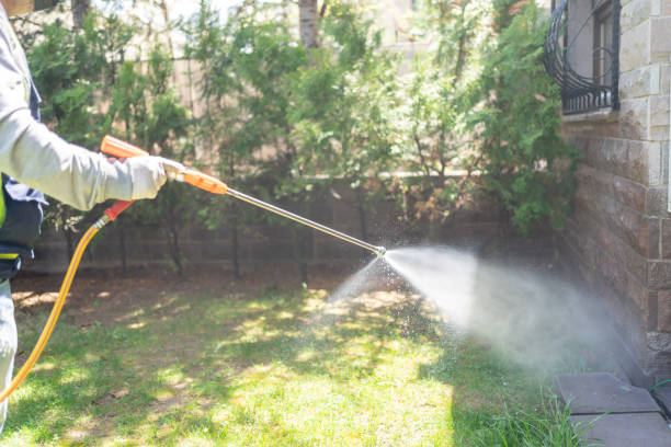 Flea Control Services in Pelham, GA