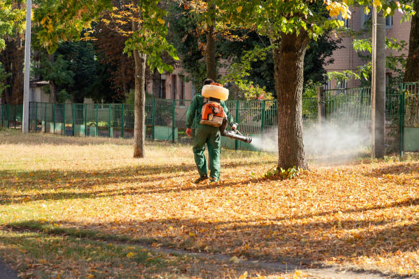 Best Local Pest Control Services  in Pelham, GA