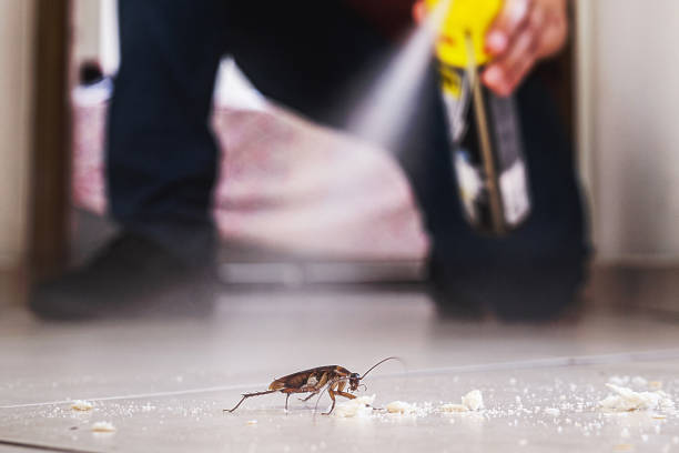 Best Best Pest Control Companies  in Pelham, GA