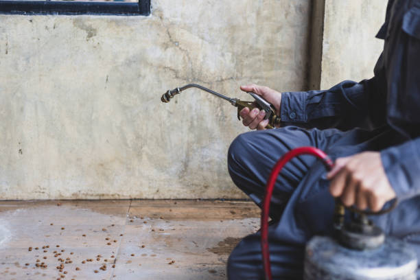 Best Pest Control Near Me  in Pelham, GA